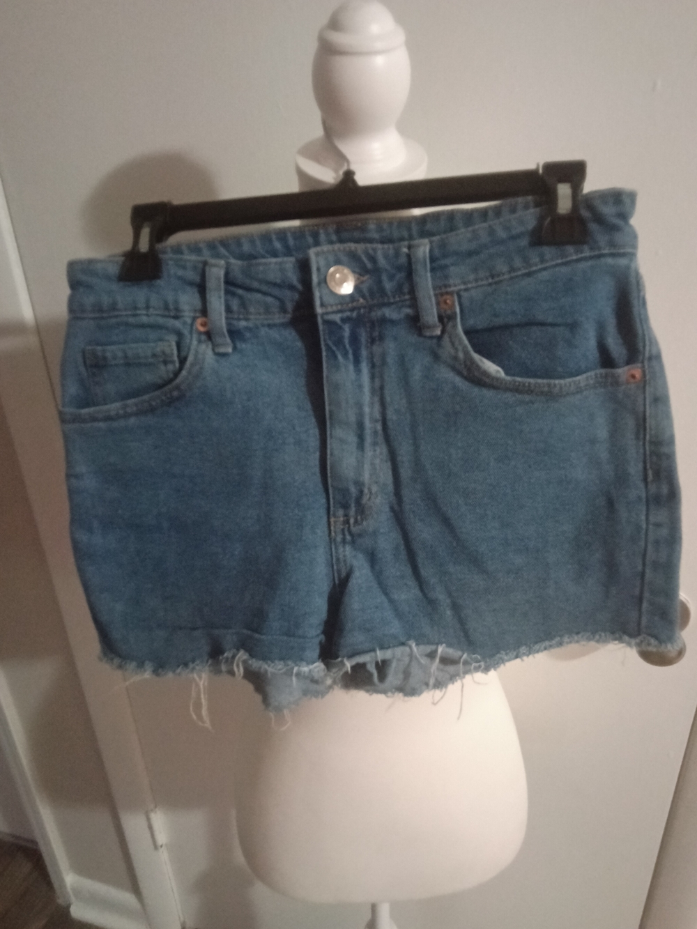 Denim Cutoff Women’s Shorts in Blue